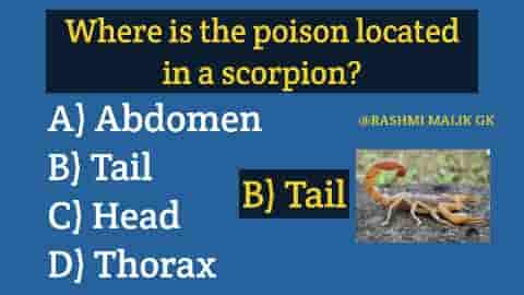 Where is the poison located in a scorpion?